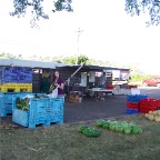 Sweet Corn and Melons
