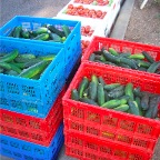 Cucumbers