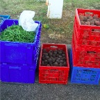 Beans, Beets and Potatoes