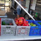 Sweet Peppers