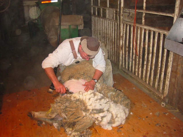 Loading Image